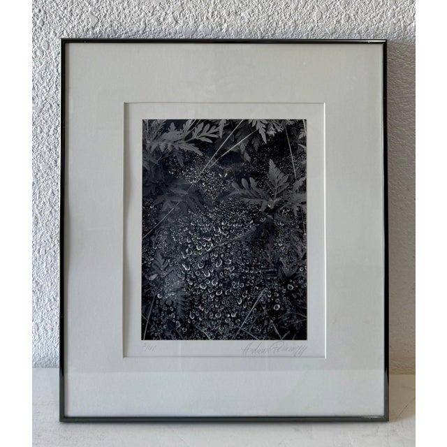 American Andreas Feininger, American Photographer Andreas Feininger Silver Gelatin Vintage Print For Sale - Image 3 of 11