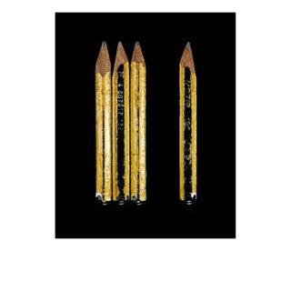 David Shrigley's Pencil by Secret Life of Pencil Print, 60" x 80" For Sale