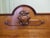 Large Late Victorian Carved Oak Buffet For Sale - Image 6 of 8