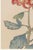 Red Chrysanthemum by Hasegawa, Vintage Japanese Botanical Art Print, 12" X 18" For Sale - Image 4 of 8