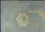 Early 21st Century Turkish Oushak Rug 11'10" x 15'8" #20399 For Sale - Image 5 of 8