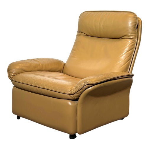 DS-50 Leather Lounge Chair from de Sede For Sale