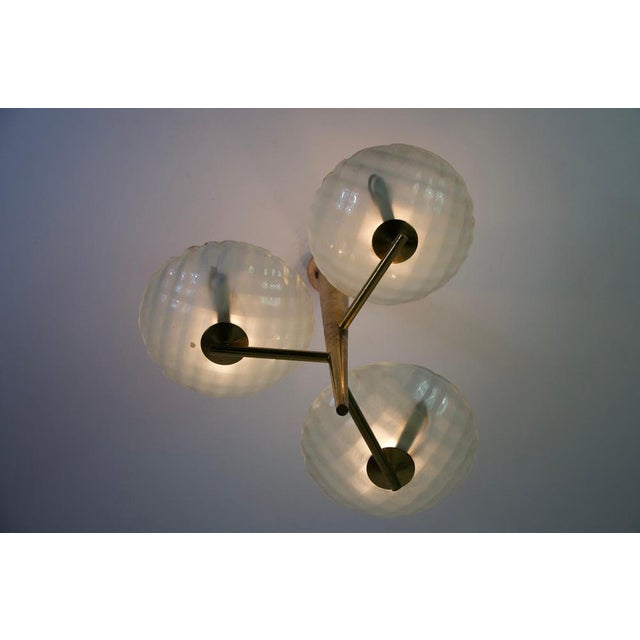 Italian Brass and Glass Chandelier, 1950s For Sale - Image 9 of 18
