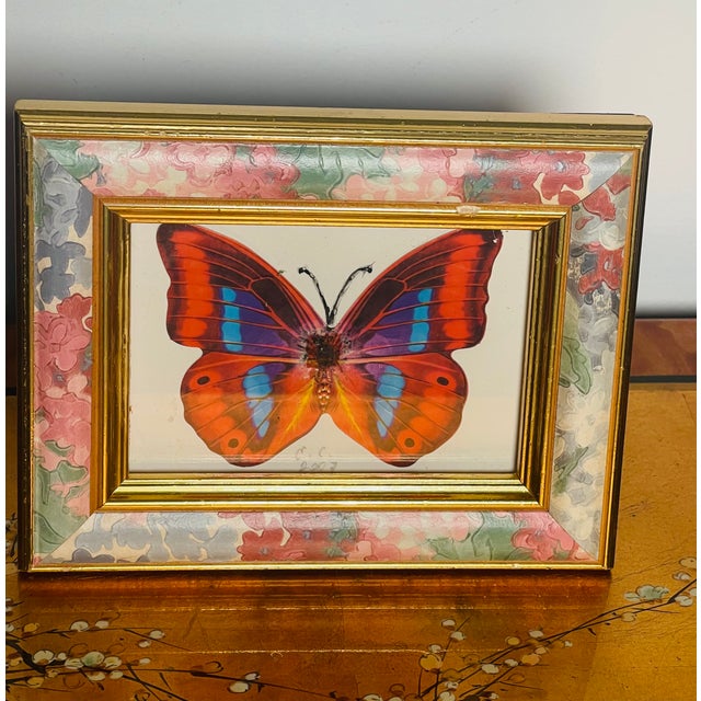 Vintage colourful Ted Butterfly collage in painted mini frame.