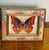 Vintage colourful Ted Butterfly collage in painted mini frame.