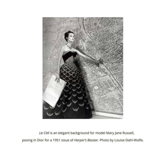 French Vintage Schumacher Paris Natural Cork La Cité 1734 Wallpaper French Photograph Mural - Set of 5 For Sale - Image 3 of 3