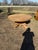 French Country A Masterpiece 18th Century French Country Bleached Oval Dining Table or Center Table For Sale - Image 3 of 18