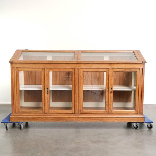 Vintage Museum Cabinet with Doors and Removable Shelves For Sale - Image 16 of 16