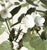 Green Hand Painted Tole Geranium in Pot For Sale - Image 8 of 10