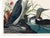 Paint Red-Throated Diver, Vintage Art Print Reproduction From Birds of America by John James Audubon, 32" X 24" For Sale - Image 7 of 8