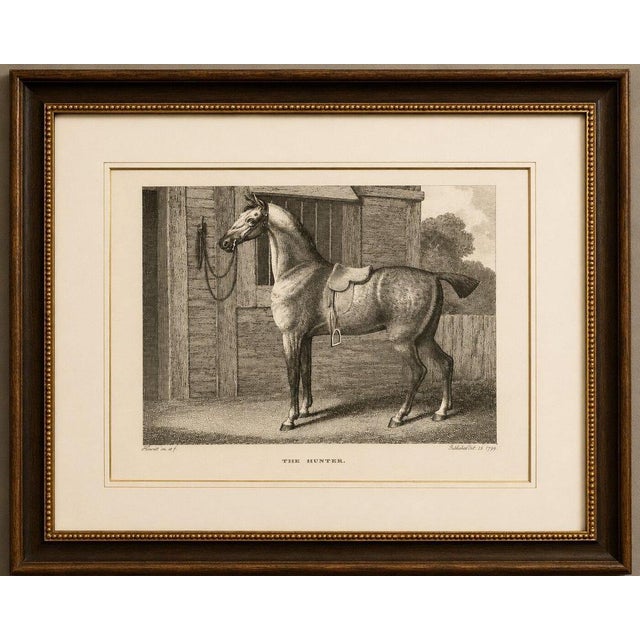 Title: The Hunter, Samuel Howitt Georgian Equestrian Engraving, England, 1799 An elegant original copperplate engraving by...