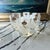 Bring timeless European elegance to your home bar with this distinguished set of six vintage French Empire style whiskey...