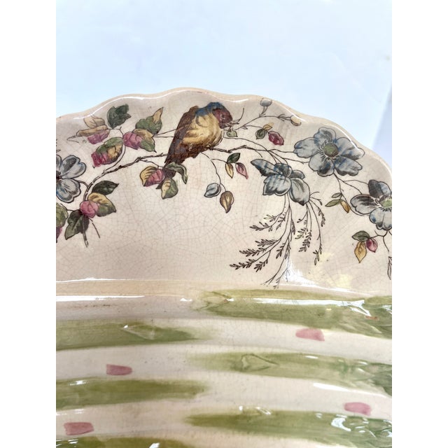 Antique shell shaped asparagus plate. Produced in the late 19th century in Stoke-on-Trent England by William Alsager...
