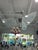 2010s Helix Suspension Light From Murano For Sale - Image 5 of 9