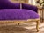 Late20C Artisan Louis XVI Gold Purple Beech Settee For Sale - Image 4 of 10