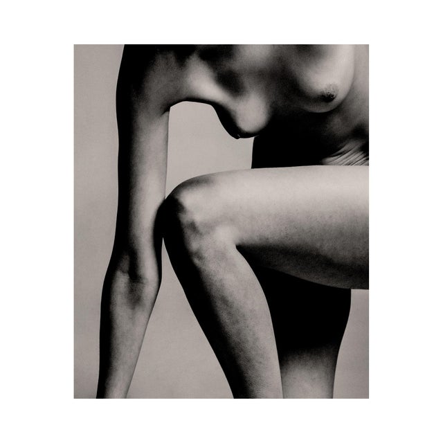Guy Sargent, Porcelain XV, Archival Pigment Print For Sale - Image 4 of 6