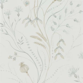 Sanderson Summer Harvest Wallpaper in Silver/Chalk - a Sample For Sale