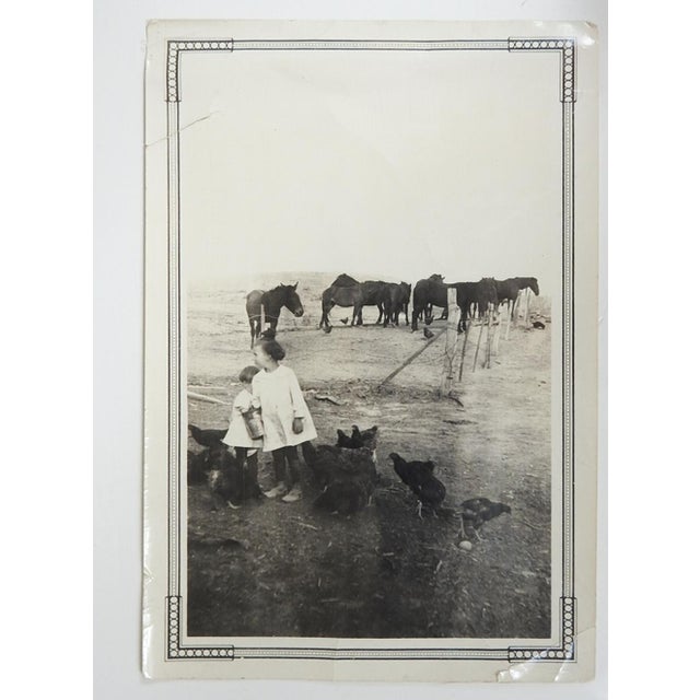 Early 20th century snapshot photograph of ranch life with children, chickens, horses, and mules. Unframed, small tear...