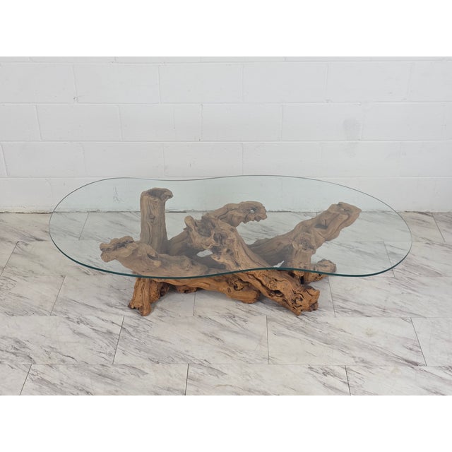 Mid 20th Century Olive Root Driftwood Coffee Table For Sale In Richmond - Image 6 of 12