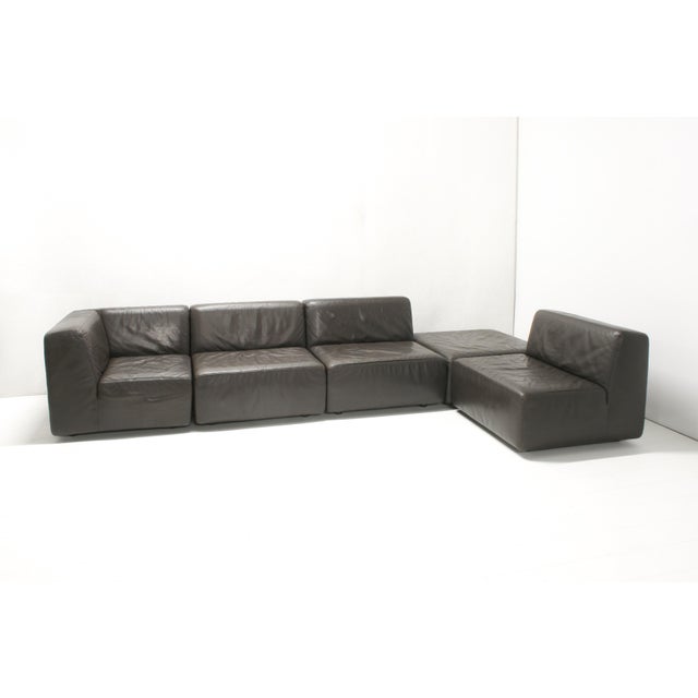 Leather Jeep Modular Sofa by Anita Schmidt for Durlet, 1970s, Set of 5 For Sale - Image 16 of 18