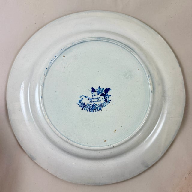 Elkin & Newbon English Botanical Beauties Dinner Plates, Set of Eight For Sale - Image 12 of 15
