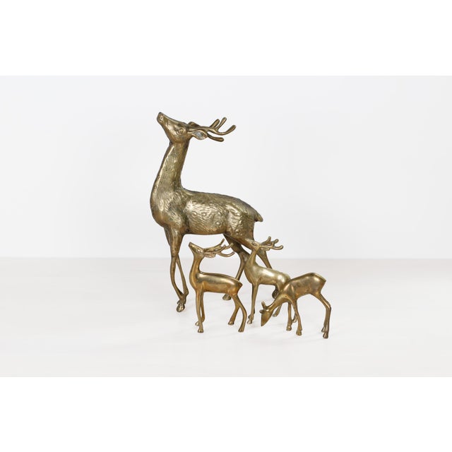 Mid-Century Brass Deer Family, Set of 4 | Large Stag and Fawns For Sale - Image 4 of 15