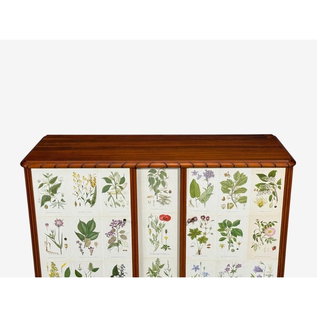 Pistachio Swedish Modern, Nordens Flora Cabinet, Mahogany, Lithographs, Sweden, 1940s For Sale - Image 8 of 13