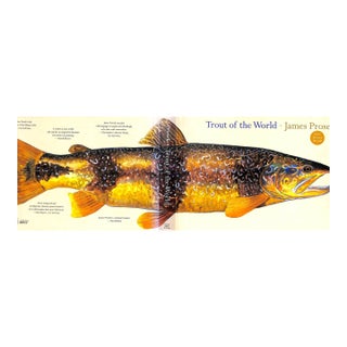 "Trout of the World" 2003 Prosek, James For Sale