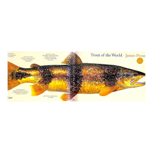 "Trout of the World" 2003 Prosek, James