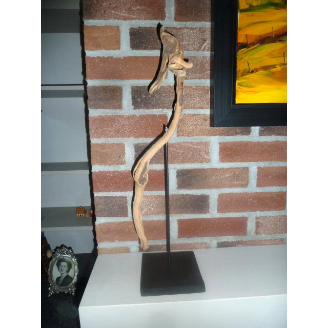 Seahorse Driftwood Art For Sale - Image 4 of 8