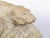 Mid 20th Century Continental Midcentury Terracotta Sculpture Depicting Two Bears on a Base For Sale - Image 5 of 10