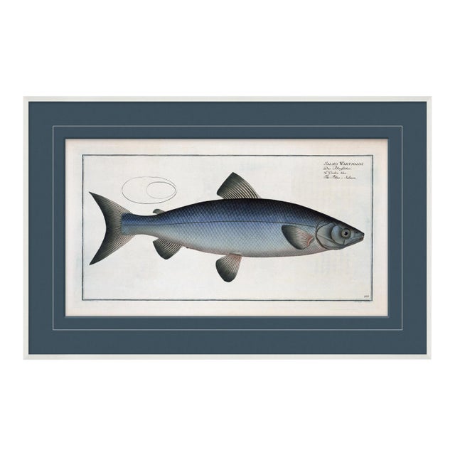 Blue Fish III Framed Art Print For Sale
