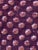 Zak + Fox Janas Cotton Fabric 10 Continuous Yards For Sale - Image 4 of 4