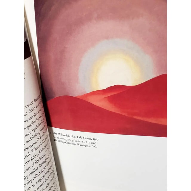 Art Deco 1985 Georgia O'Keeffe Monograph by Sasha M. Newman | the Phillips Collection For Sale - Image 3 of 18