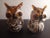Vintage Art Glass Speckled Aventurine Owl Figurines- Set of 2 For Sale - Image 9 of 9