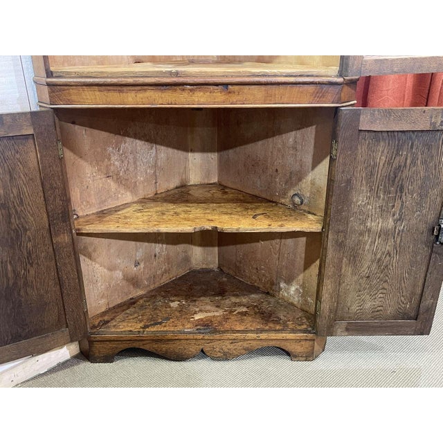 19th Century English Corner Cabinet in Oak, Mahogany, and Fir For Sale - Image 5 of 13