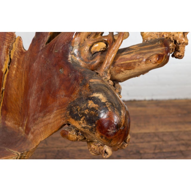 Vintage Chinese Hand Crafted Camphor Wood Root Chair with Light Varnish For Sale In New York - Image 6 of 12