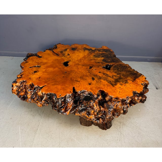 Vintage 1970s California Redwood Burl Live Edge Coffee Table on Redwood Stump Base For Sale In Philadelphia - Image 6 of 15