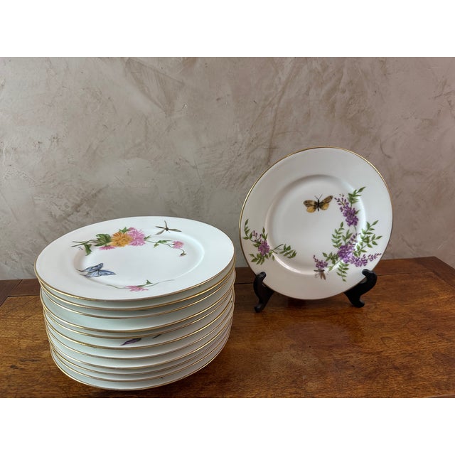 Very beautiful set of 12 plates (one split) in limoges porcelain dating from the 1920s, hand painted. spring decor,...