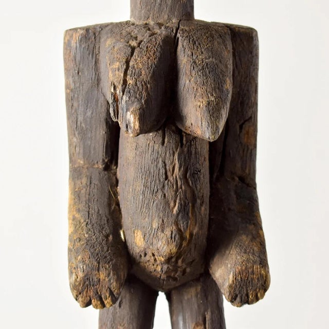 Early 20th Century Bobo Figural Mask Burkina Faso For Sale - Image 4 of 14