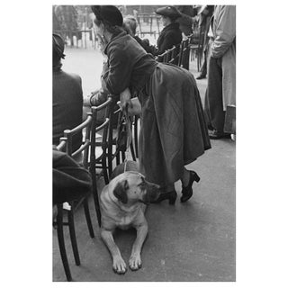 'Dog and Owner at Crufts' Unframed Archival Pigment Print For Sale