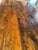 Brown Monumental Repurposed Barn Wood Farm Table For Sale - Image 8 of 17