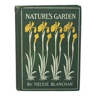 Antique 1900s Decorative Wild Flower Guide Book For Sale