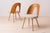 Beige Mid-Century Dining Chairs attributed to A. Suman, 1960s, Set of 10 For Sale - Image 8 of 18