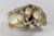 Gemstone 20th Century Chinese Qing Style Nephrite Jade Carving of Boys and Ram For Sale - Image 7 of 13