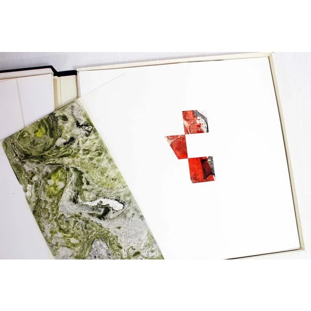 Die Schöpfung Art Box by Niklaus Knöll, 1966, Set of 14 For Sale - Image 6 of 15