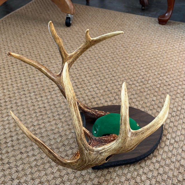 Late 20th Century Late 20th Century Taxidermy White Tail Deer Buck Antlers Horns on Wall-Mounted Plaque For Sale - Image 5 of 6