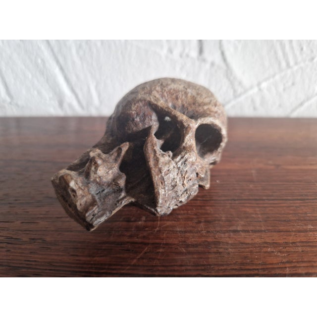 Memento Mori Sculpture, 19th Century For Sale - Image 4 of 6