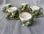 Vintage Majolica Style Shell Cup and Saucers Set of 9 Pieces For Sale - Image 12 of 17
