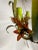 Italian Tole Floral Tole Chandelier With Lilies For Sale - Image 11 of 12